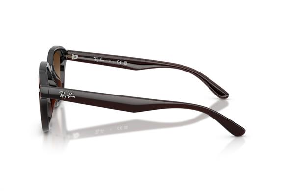 Ray-ban  4458D 714/13 65-18  Güneş Gözlüğü