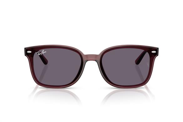 Ray-ban  4461D 659373 64-17  Güneş Gözlüğü