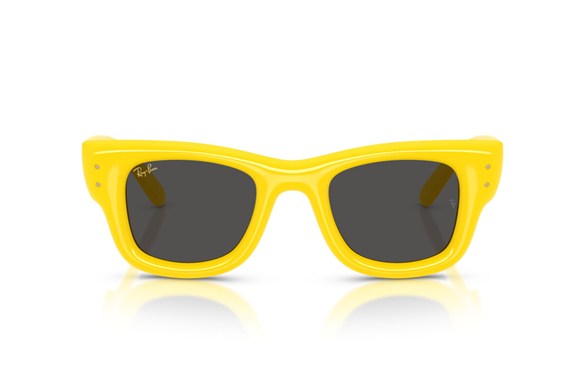 Ray-ban  4940 683087 47-23  Güneş Gözlüğü