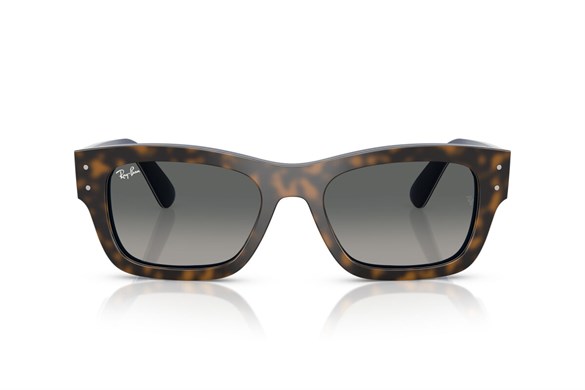 Ray-ban  7683S 140171 55-20  Güneş Gözlüğü