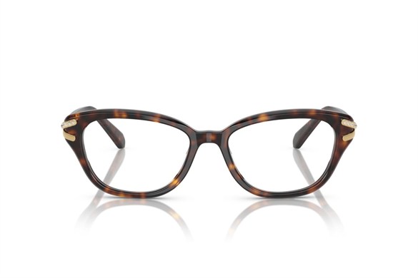 Swarovskı  2032 1002 52-17  Optik Çerçeve