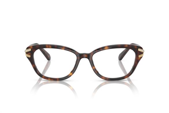 Swarovskı  2032 1002 52-17  Optik Çerçeve