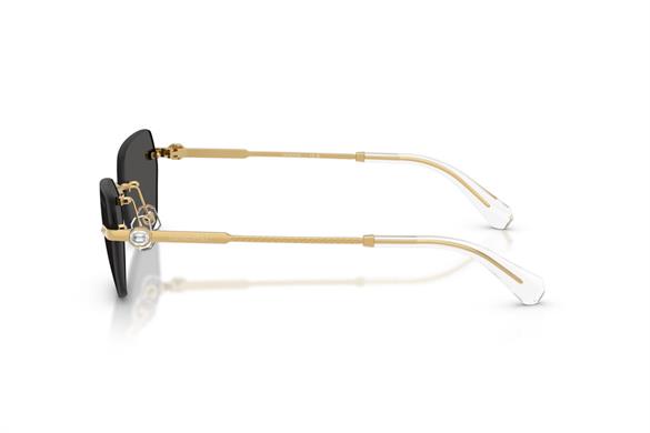 Swarovskı  7038 400487 58-16  Güneş Gözlüğü