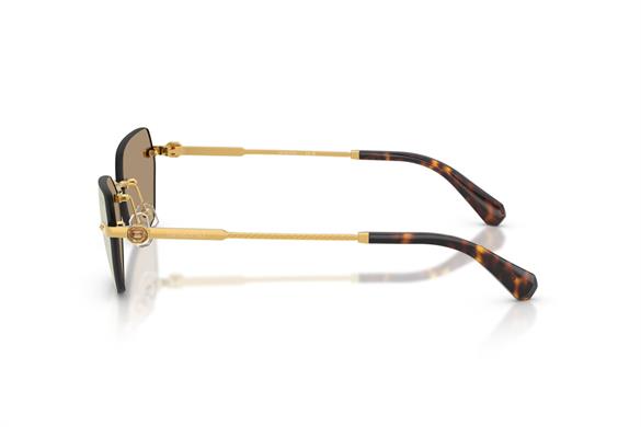 Swarovskı  7038 40077J 58-16  Güneş Gözlüğü