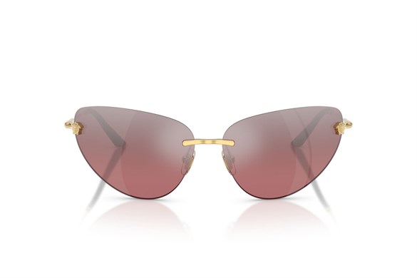 Versace  2281 10027E 64-13  Güneş Gözlüğü