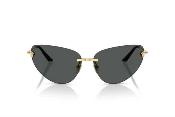 Versace  2281 100287 64-13  Güneş Gözlüğü