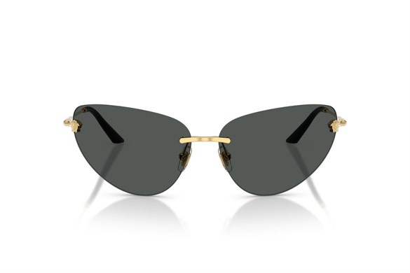 Versace  2281 100287 64-13  Güneş Gözlüğü