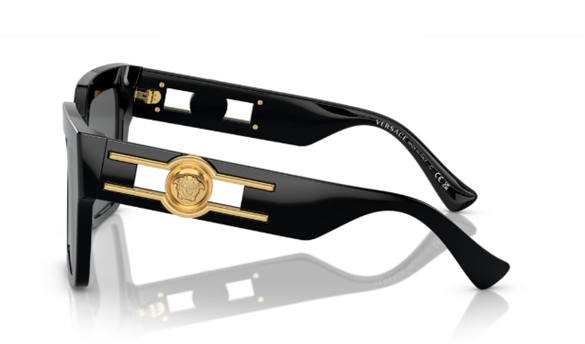 Versace  4458 GB1/87 54-19  Güneş Gözlüğü