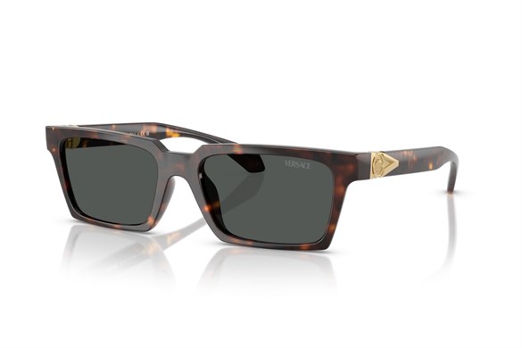 Versace  4490U 108/87 55-18  Güneş Gözlüğü