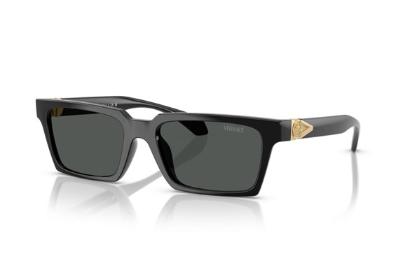 Versace  4490U GB1/87 55-18  Güneş Gözlüğü