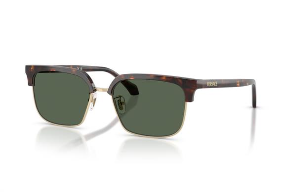 Versace  4494D 108/71 56-17  Güneş Gözlüğü