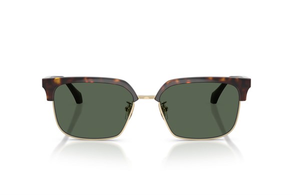 Versace  4494D 108/71 56-17  Güneş Gözlüğü