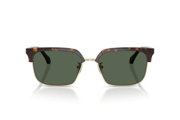 Versace  4494D 108/71 56-17  Güneş Gözlüğü