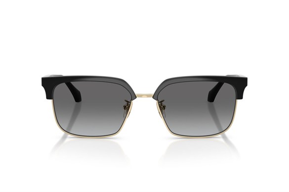 Versace  4494D GB1/11 56-17  Güneş Gözlüğü