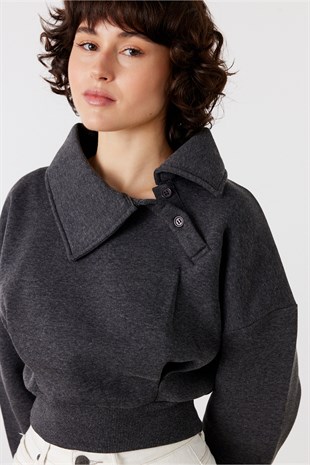 Pulse Crop Sweatshirt Antrasit