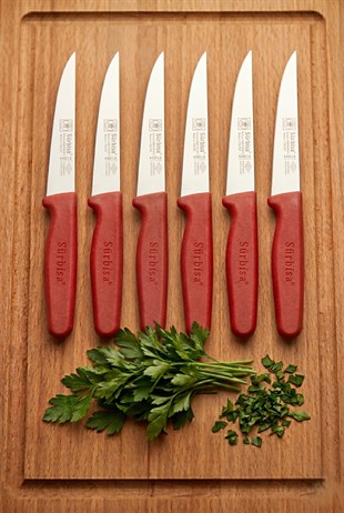 6lı Meyve Sebze Bıçak Seti Kırmızı Sürmene Bıçağı Fırtına Set Sürbisa 61004 