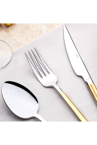 Nehir Dalyan Titanium Altın 84 Parça Deri Kutulu Çatal Bıçak Takımı 