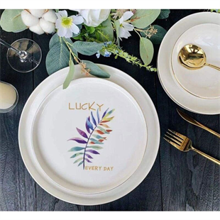 Roy King Happy Bone China 24 Parça Porselen Yemek Takımı Dsn020 