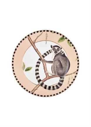 The Mia Amazonico Pasta Tabağı 6 Parça 21 Cm DNR0038 