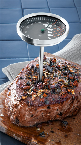 WMF Et Termometresi 3201000114 