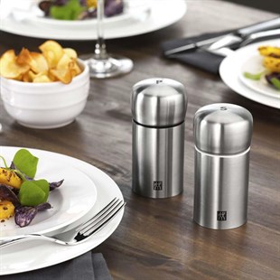 Zwilling 395000250 Tuz ve Karabiber Değirmen Set Metalik Gri 