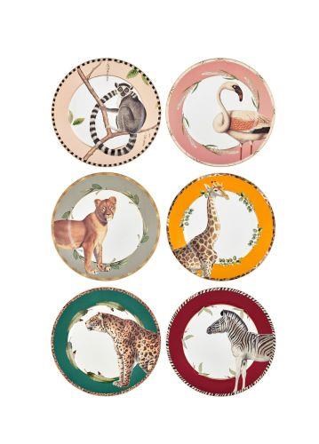 The Mia Amazonico Pasta Tabağı 6 Parça 21 Cm DNR0038 