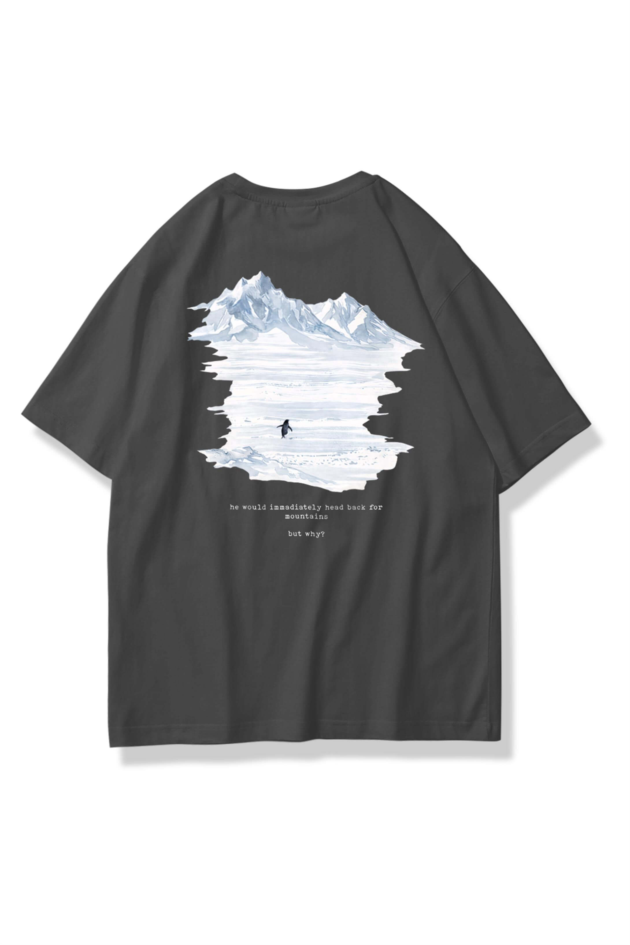 Unisex Lone Penguin Tshirt Antrasit