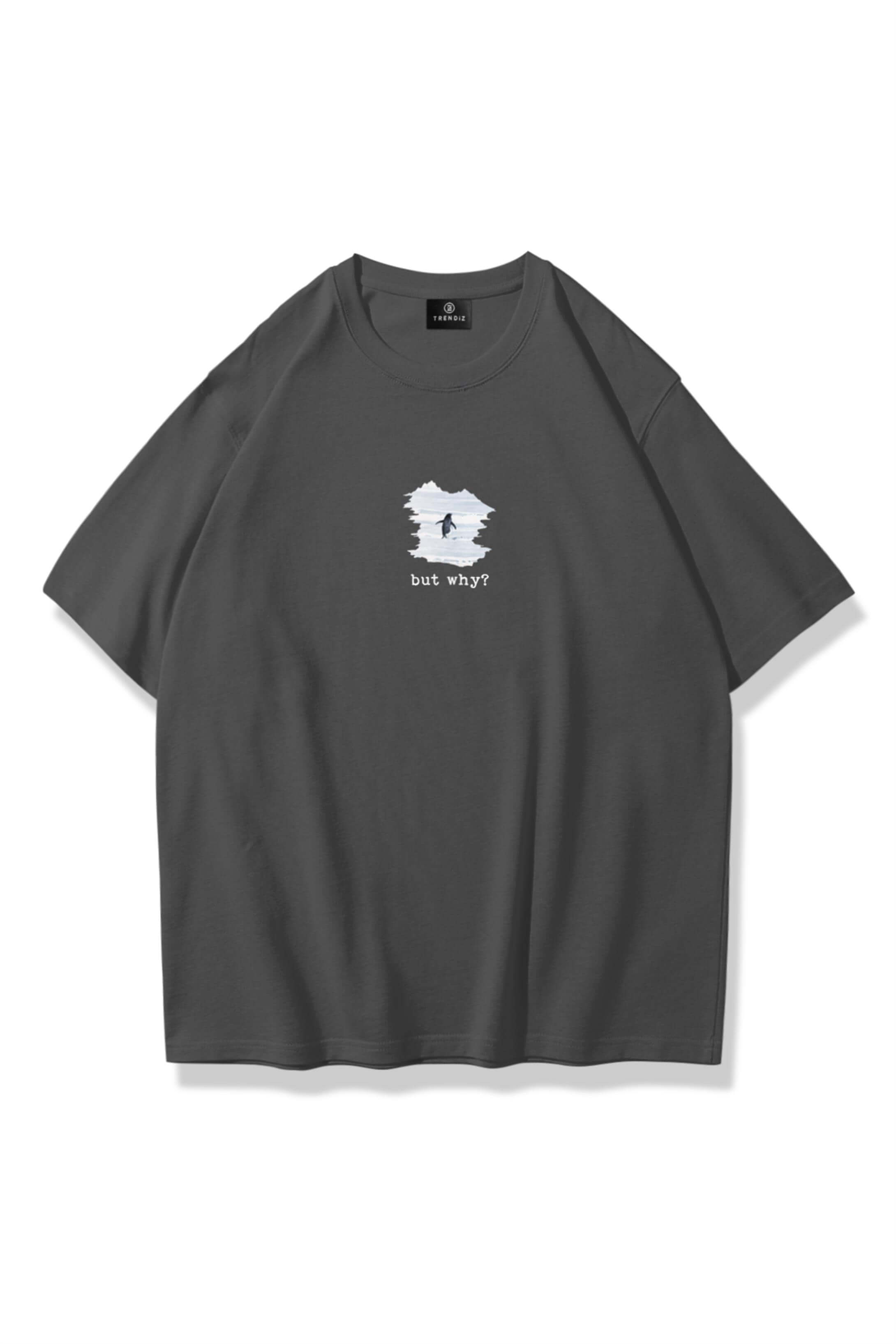 Unisex Lone Penguin Tshirt Antrasit