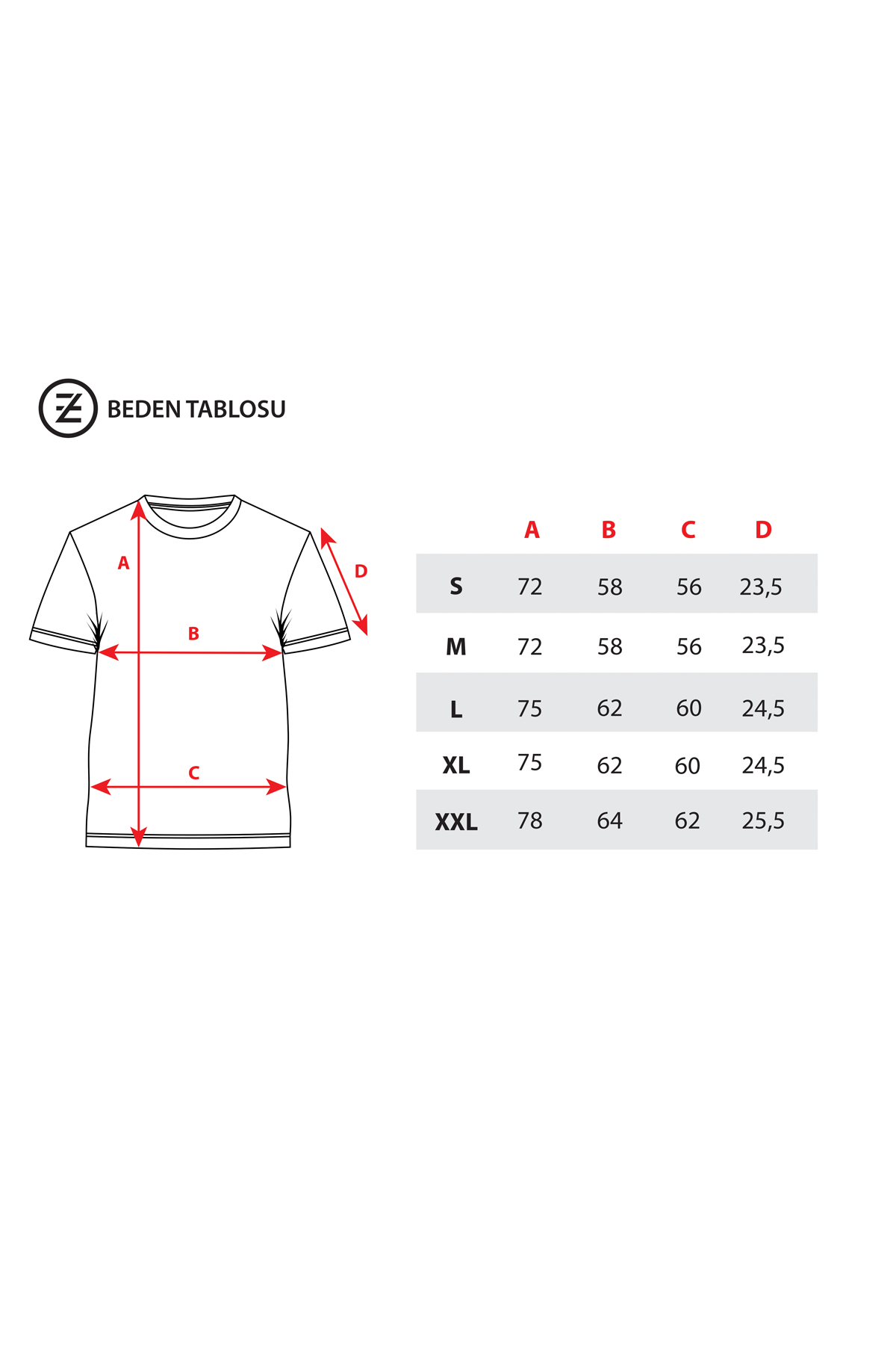 Trendiz Unisex Pegasus Yıkamalı Gri Tshirt