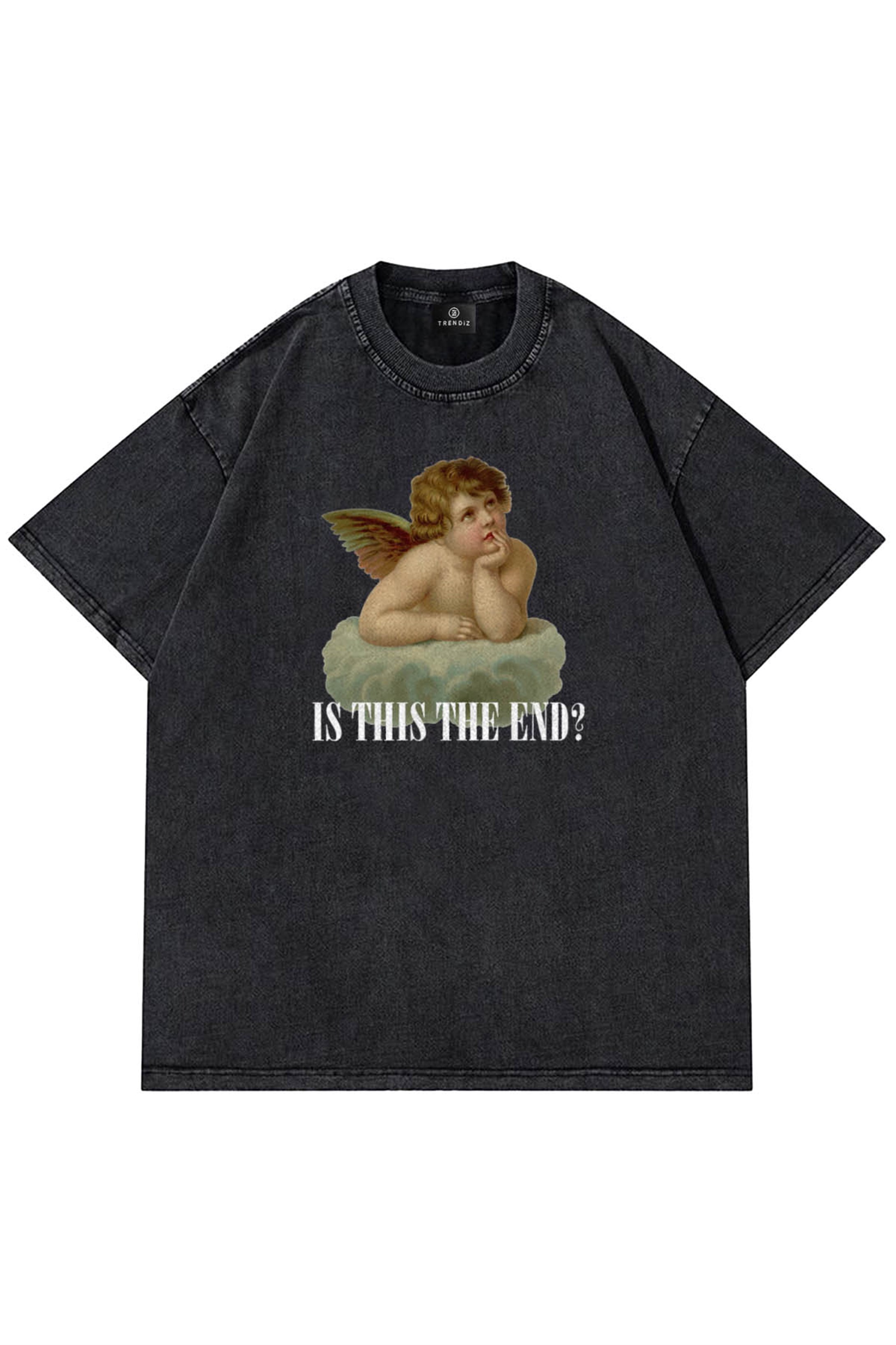 Trendiz Unisex Is This The End ? Yıkamalı Tshirt