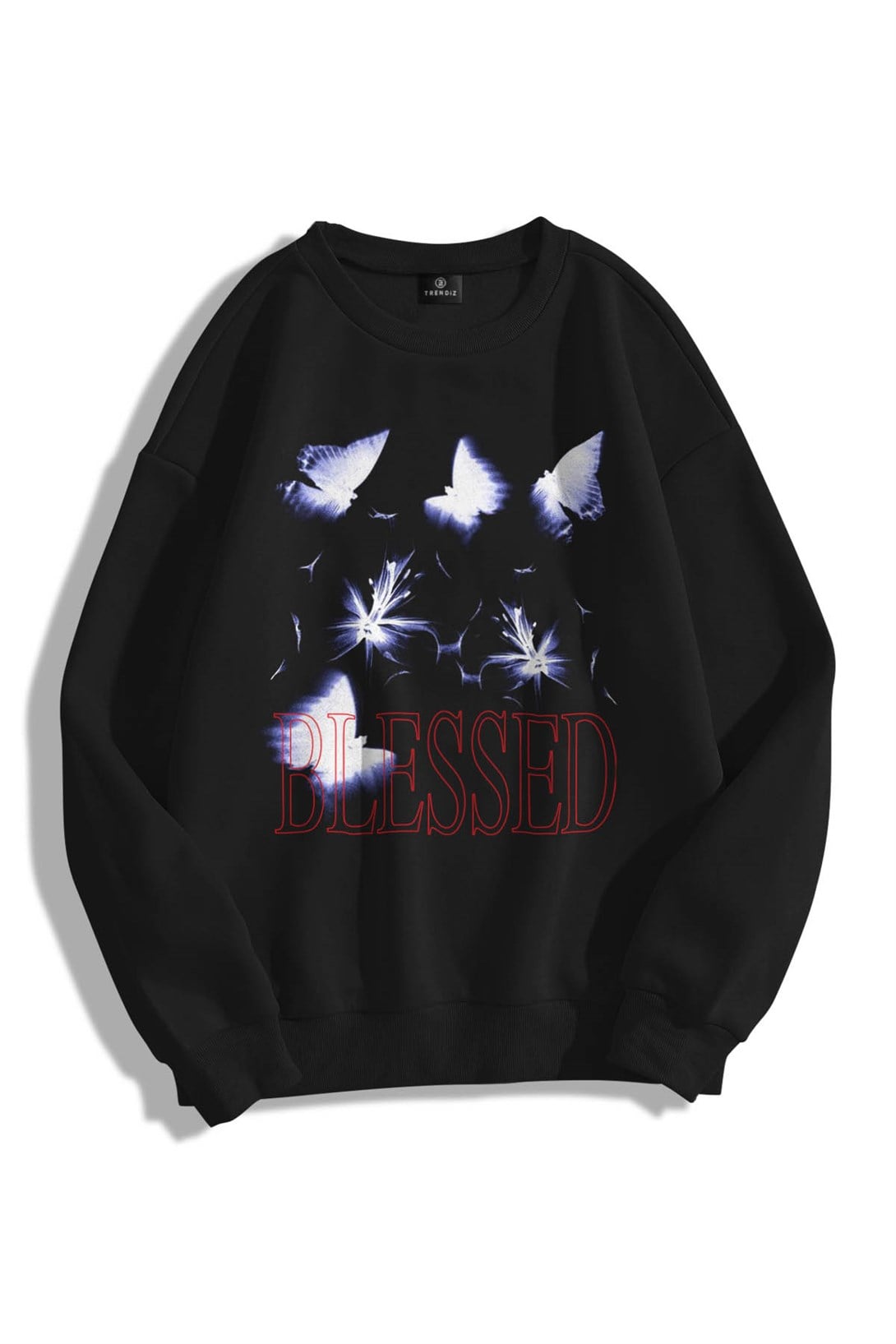 Trendiz Unisex Blessed Bisiklet Yaka Sweatshirt Hoodie