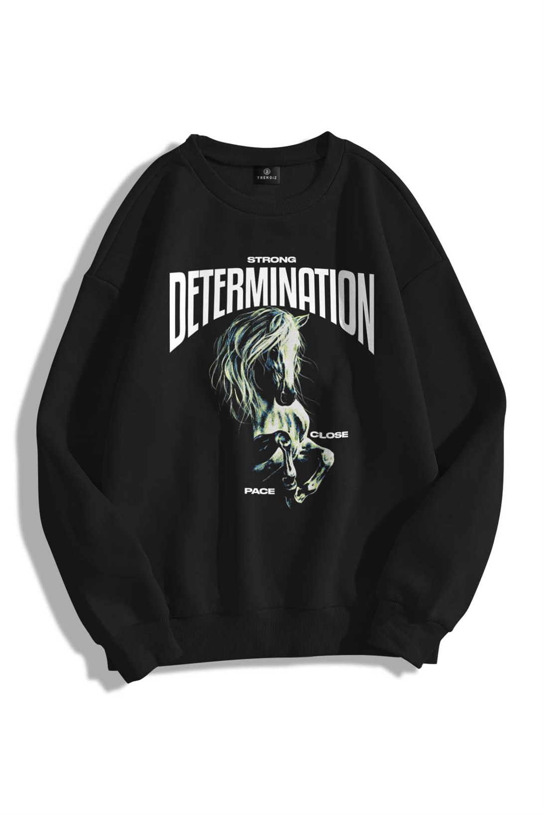 Trendiz Unisex Determination Bisiklet Yaka Sweatshirt Hoodie