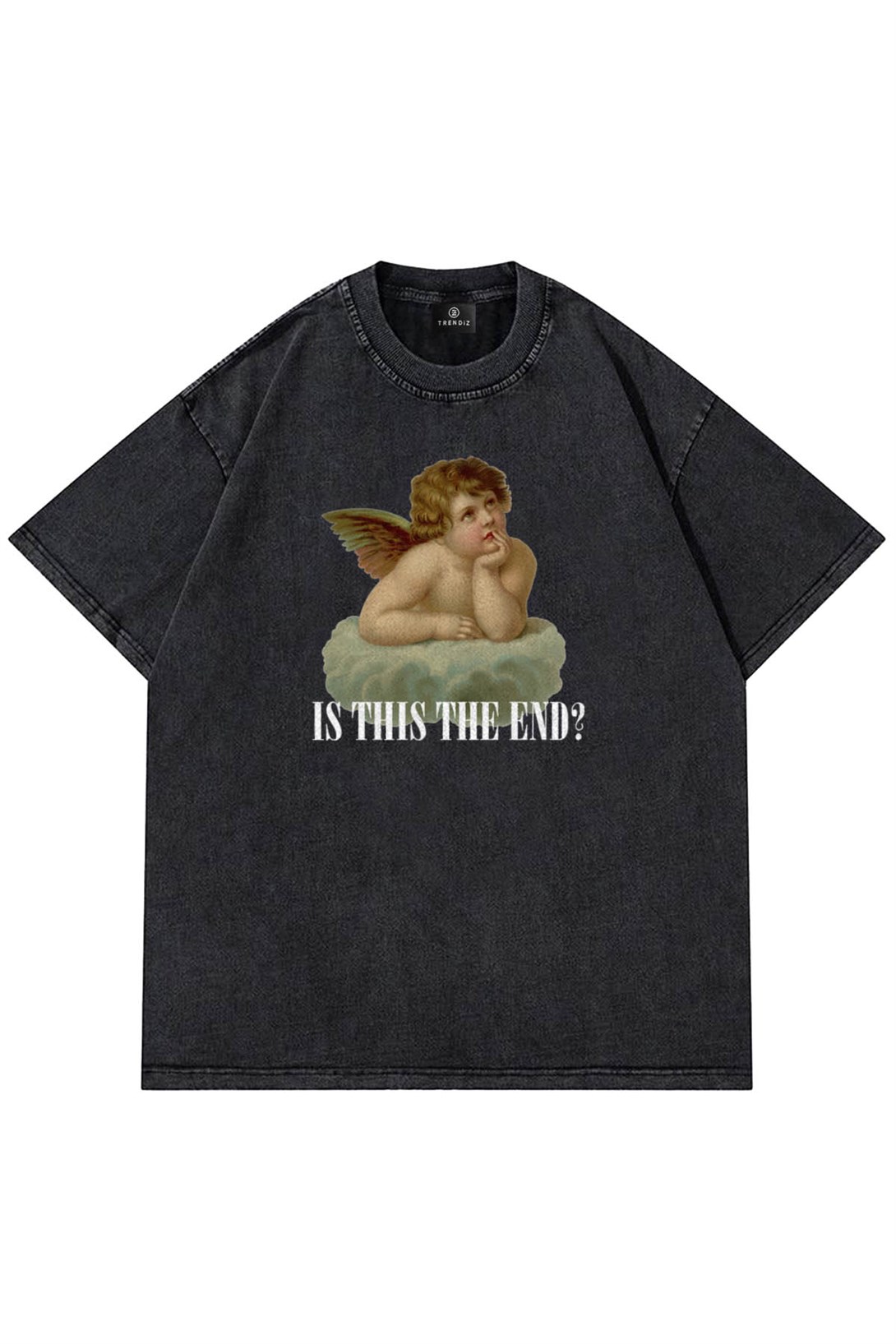 Trendiz Unisex Is This The End ? Yıkamalı Tshirt