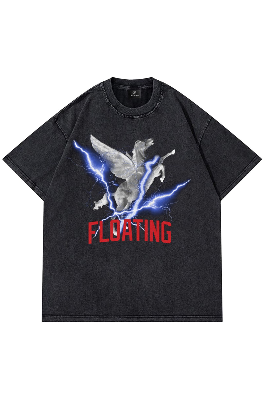 Trendiz Unisex Pegasus Yıkamalı Gri Tshirt