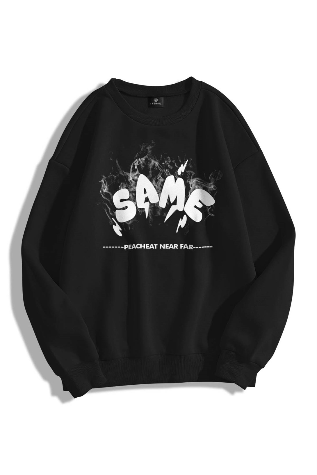 Trendiz Unisex Same Bisiklet Yaka Sweatshirt Hoodie