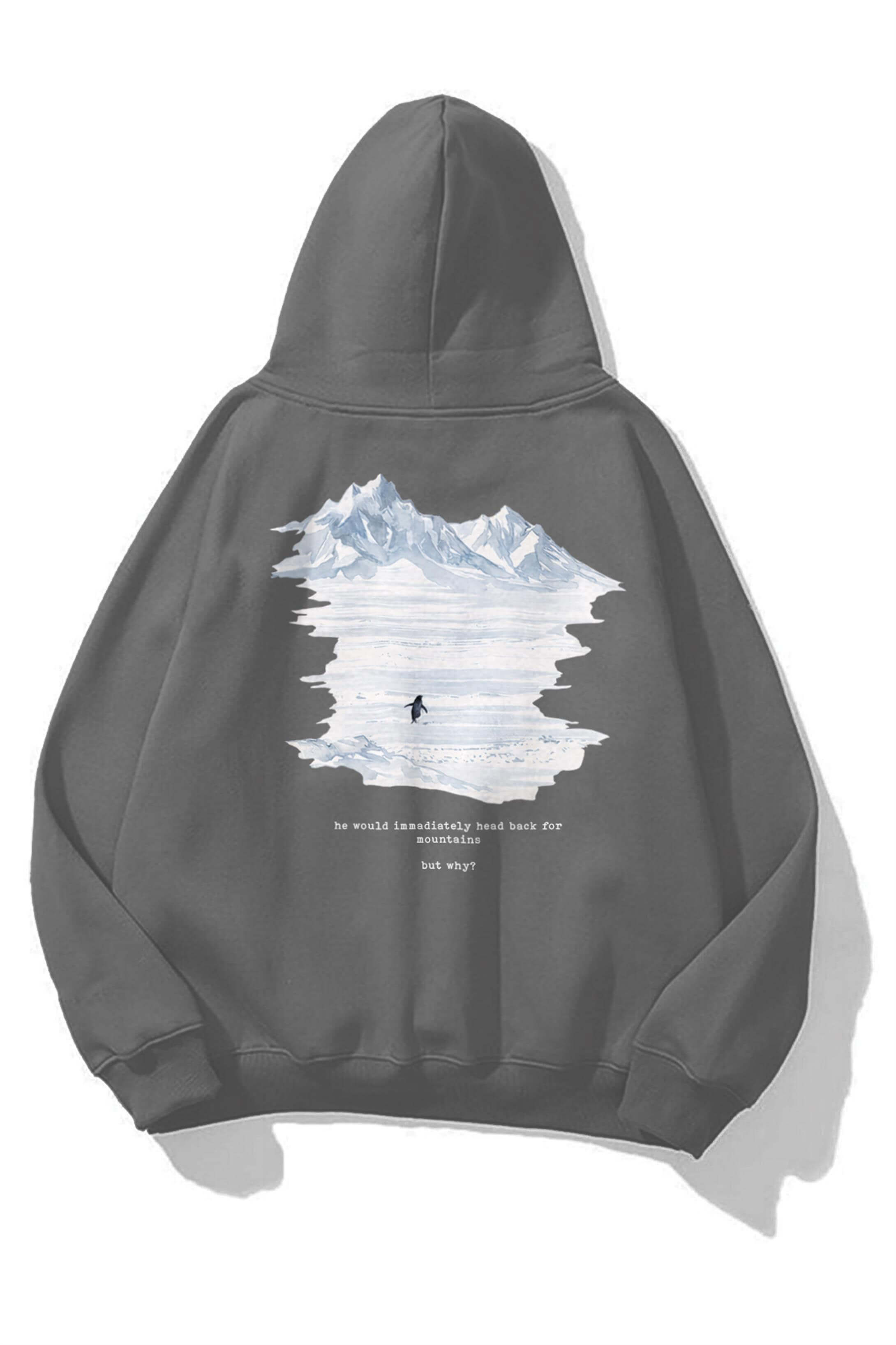 Unisex Lone Penguin Sweatshirt Antrasit