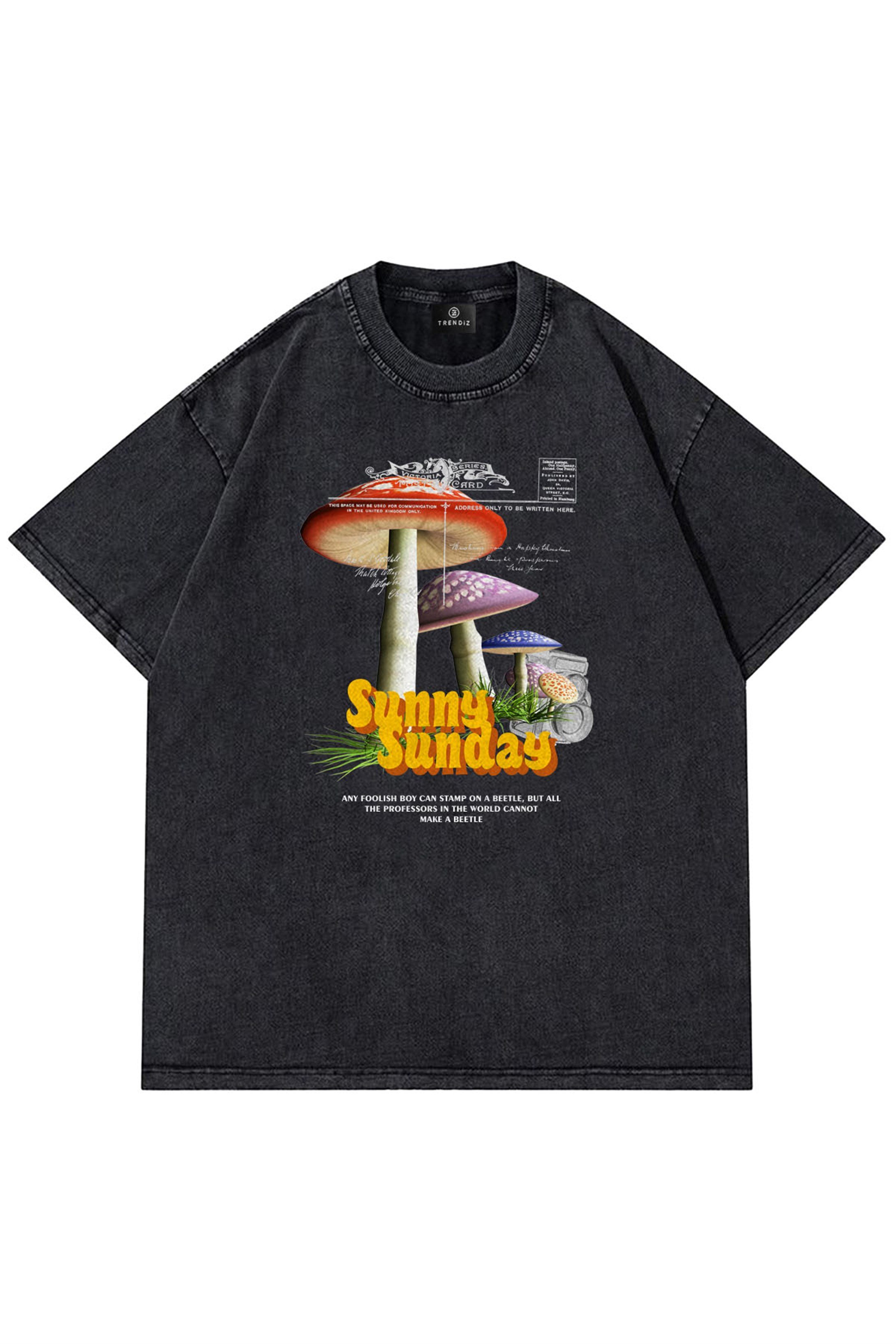 Trendiz Unisex Sunny Sunday Yıkamalı Gri Tshirt