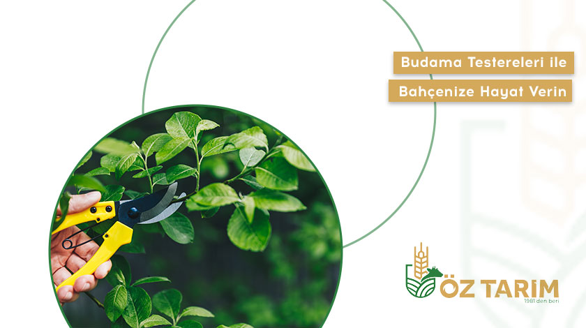 Budama Testereleri ile Bahçenize Hayat Verin