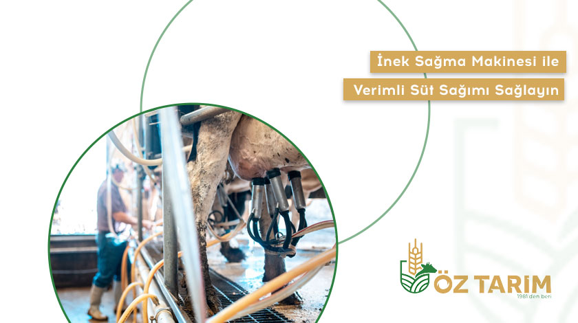 İnek Sağma Makinesi İle Verimli Süt Sağımı Sağlayın!