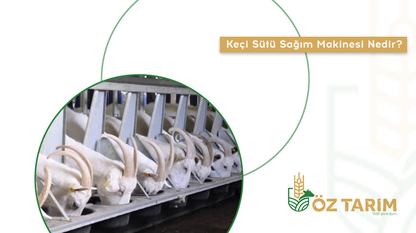 Keçi Sütü Sağım Makinesi Nedir, Nasıl Kullanılır?, Keçi Sütü Sağım Makinesi Temel Bileşenleri, Kurtsan Keçi Sütü Sağım Makinesinin Teknik Özellikleri Nelerdir?, Keçi Sütü Sağım Makinesinin Avantajları