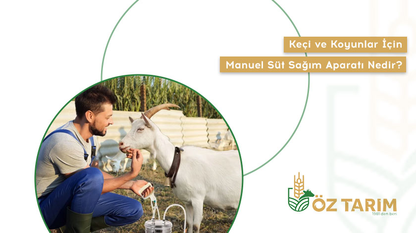 Keçi ve Koyunlar İçin Manuel Süt Sağım Aparatı Nedir, Özellikleri Nelerdir?