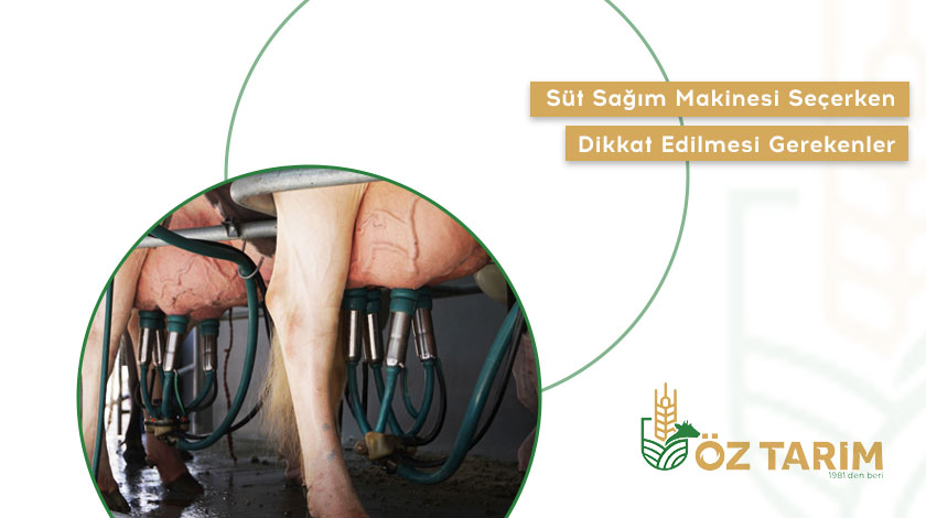 Süt Sağım Makinesi Seçerken Dikkat Edilmesi Gerekenler
