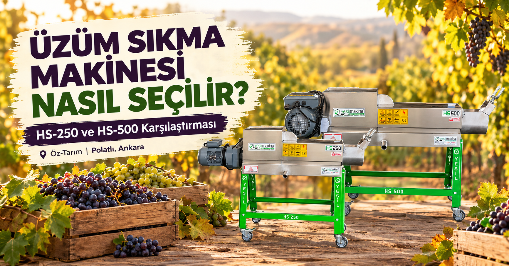 Yeşil Makine HS-250 ve HS-500 elektrikli üzüm sıkma makineleri ve taze üzüm salkımları