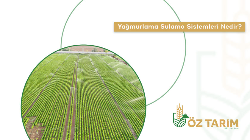Yağmurlama Sulama Sistemleri Nedir?