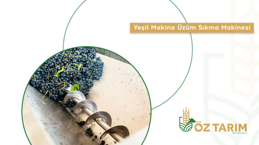 Yeşil Makina Üzüm Sıkma Makinesi ile Mevsimsel Üretimde Güç Kazanın