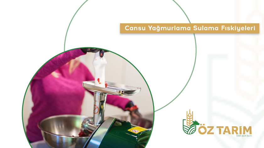 Yeşil Makine Elektrikli Salça Makinesi