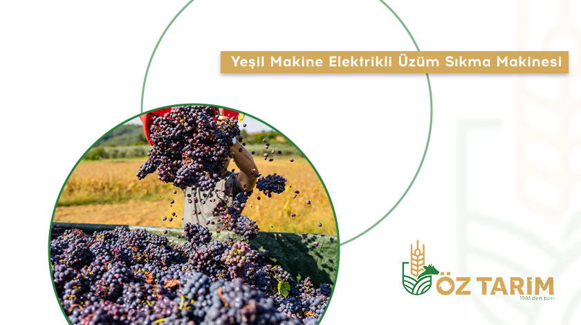 Yeşil Makine Elektrikli Üzüm Sıkma Makinesi, Elektrikli üzüm sıkma makinesi fiyatları, Ev tipi üzüm sıkma makinesi, Şarap yapma makinesi, Üzüm suyu sıkma makinesi