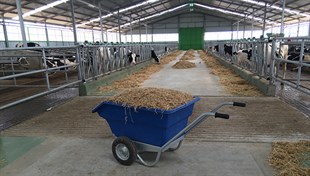 Kurtsan Çok Amaçlı El Arabası-Gübre Yem Taşıma-300 KG Kapasiteli