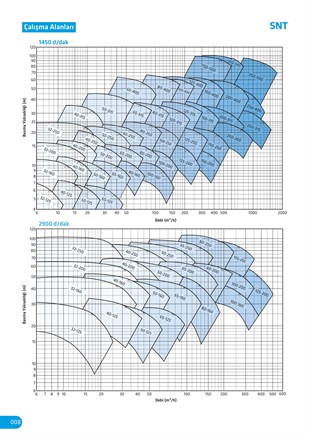 Standart Pompa SNT 80/250 Santrifüj Pompa (Pancar Motoru İçin)