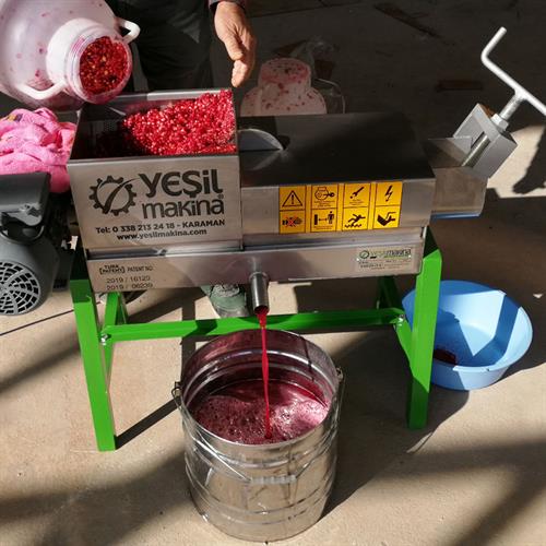 Yeşil Makine Elektrikli Üzüm Sıkma Makinesi (Şıra Makinesi) HS-250